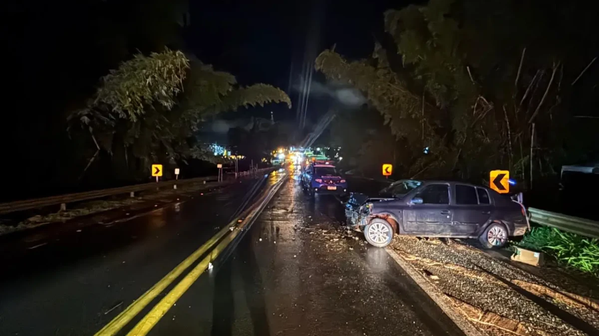 24213e5a 33ee 436d ac0b f46ca86b0cf8 1200x675