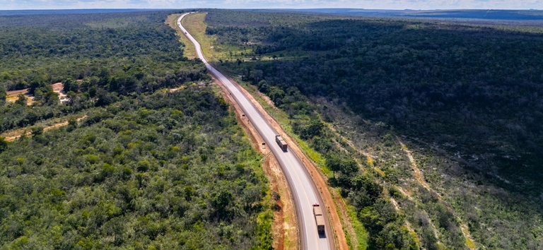 Sem PPD, caminhoneiro ainda “rega o mato” em 5 estados