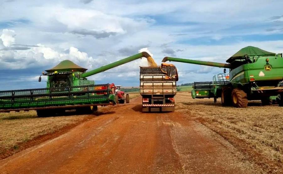 Soja em Goias