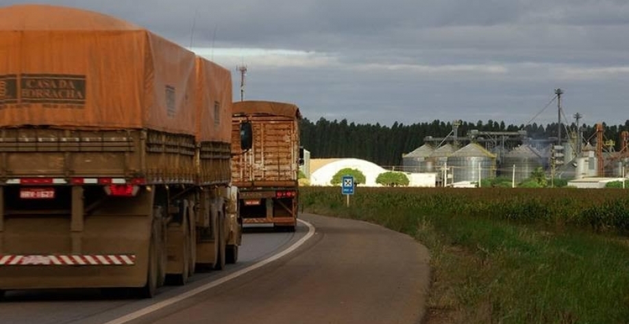 Mato grosso